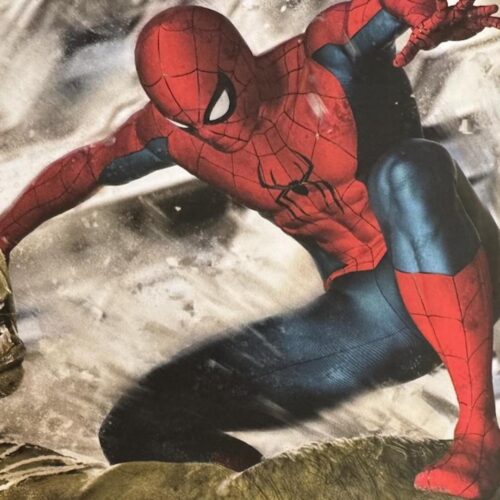 مبارزه اسپایدرمن هالک Spider-Man: Brand New Day