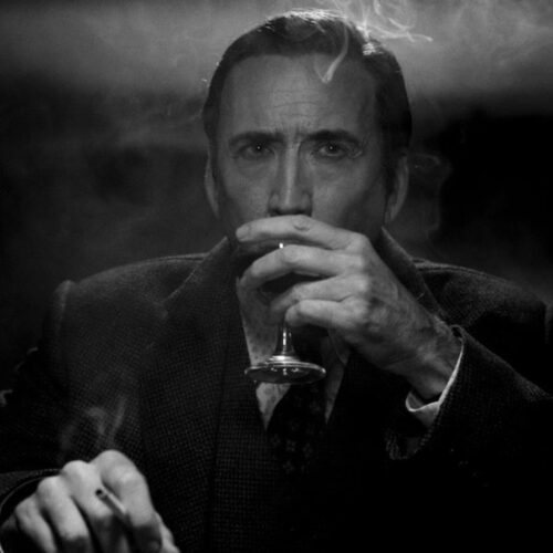 نیکولاس کیج آمازون Spider-Noir