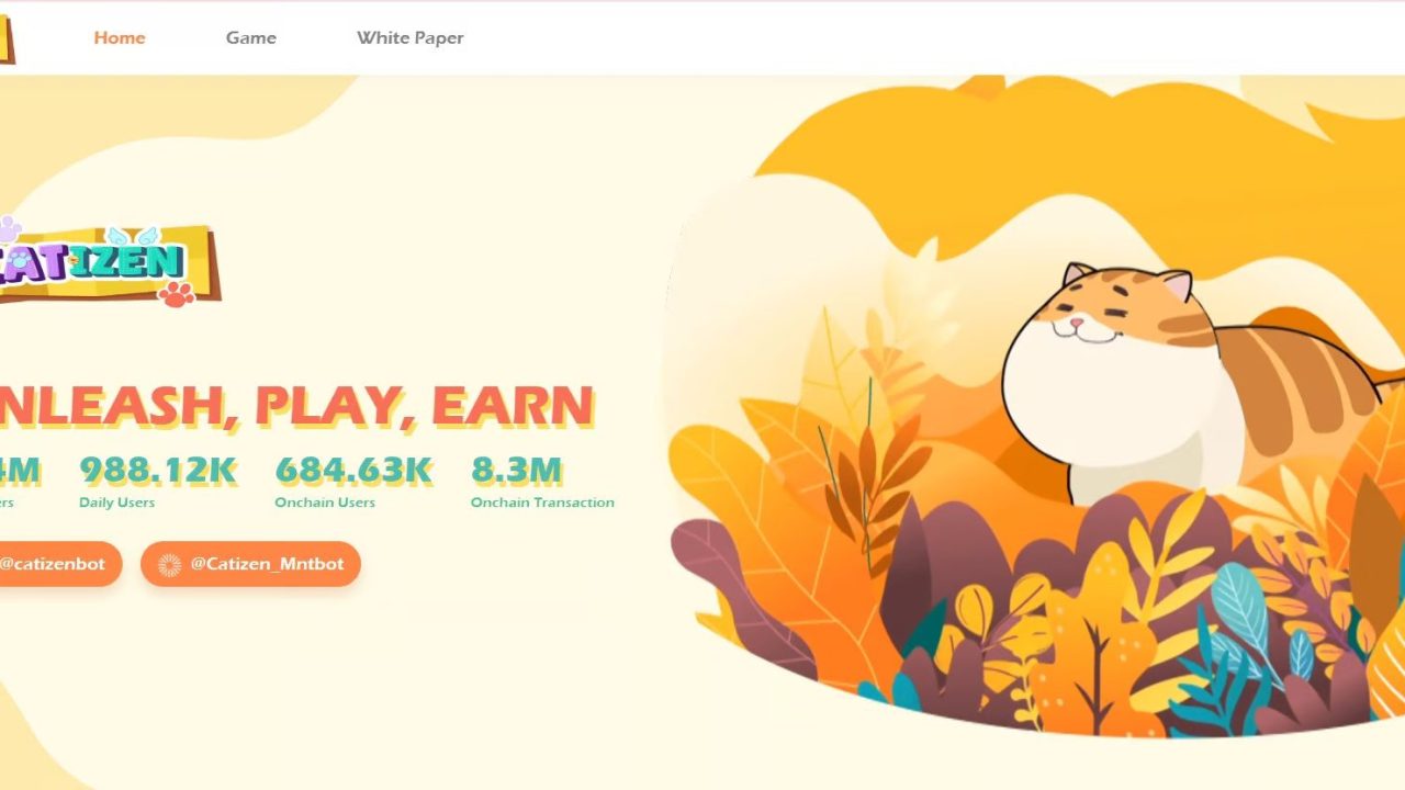 کتیزن - بازی شبیه به همستر کامبت اما در سبکی متفاوت